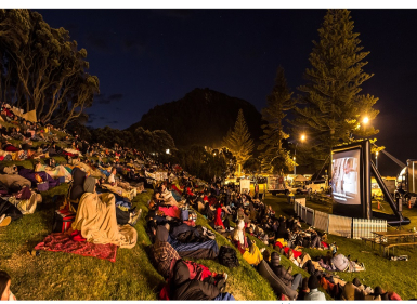 More Night Owls Appearing All Over Tauranga