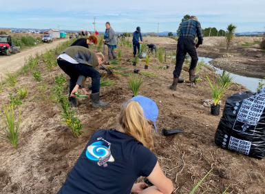 1 Million Grant Announced To Help Revive Sick BOP Estuary