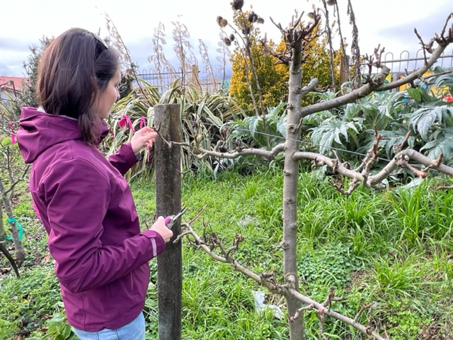 Growing Food, Knowledge & Community Spirit in Taupo