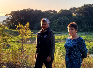 Re-Establishing Wetlands & Turangawaewae