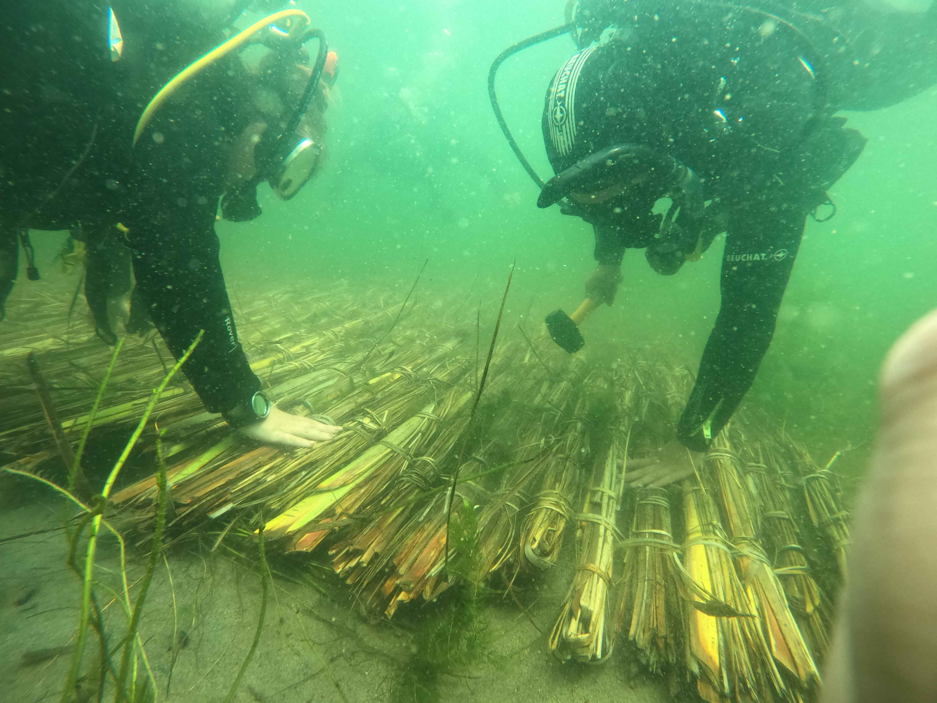 Restoring The Mauri Of Te Arawa’s Lakes