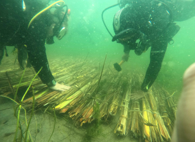 Restoring The Mauri Of Te Arawa’s Lakes