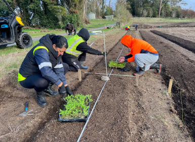 Planting The Seeds Of Change