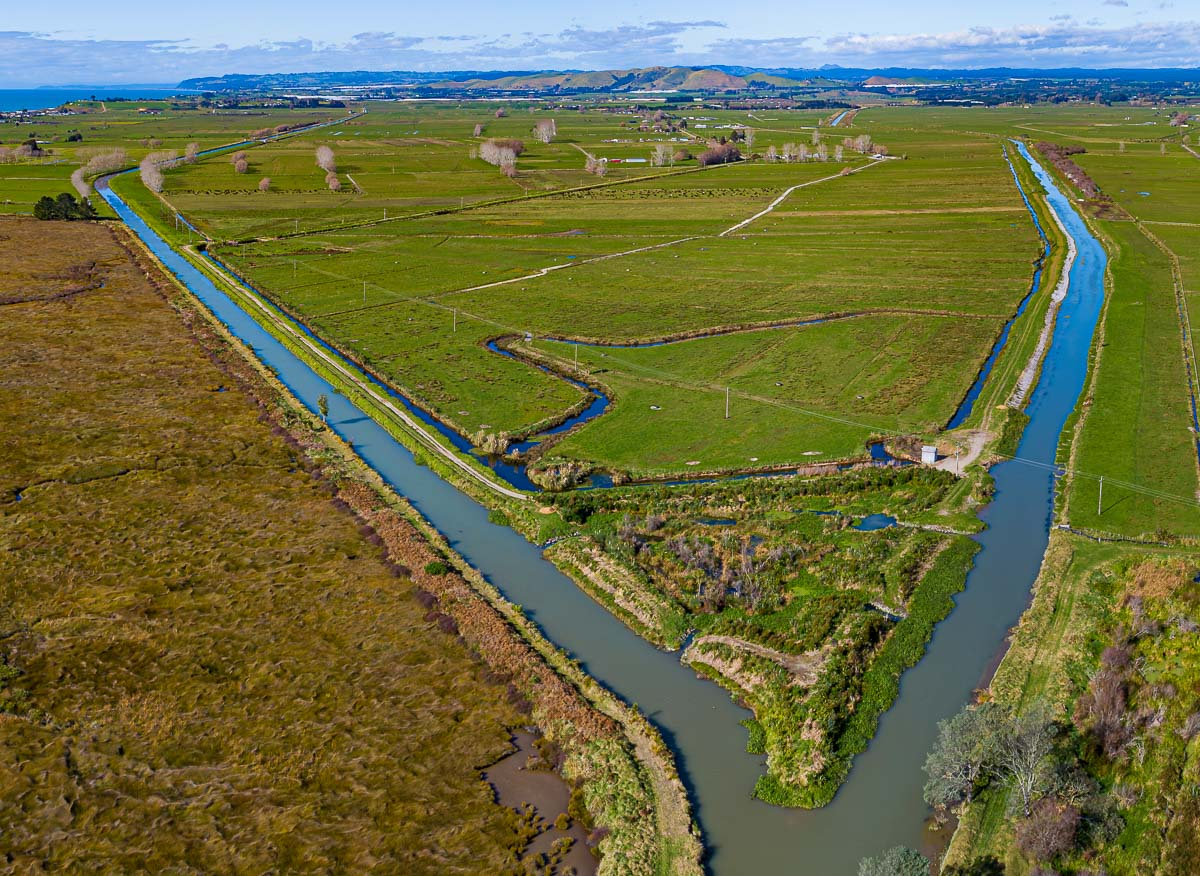 Could Wetlands Provide Powerful Protection?